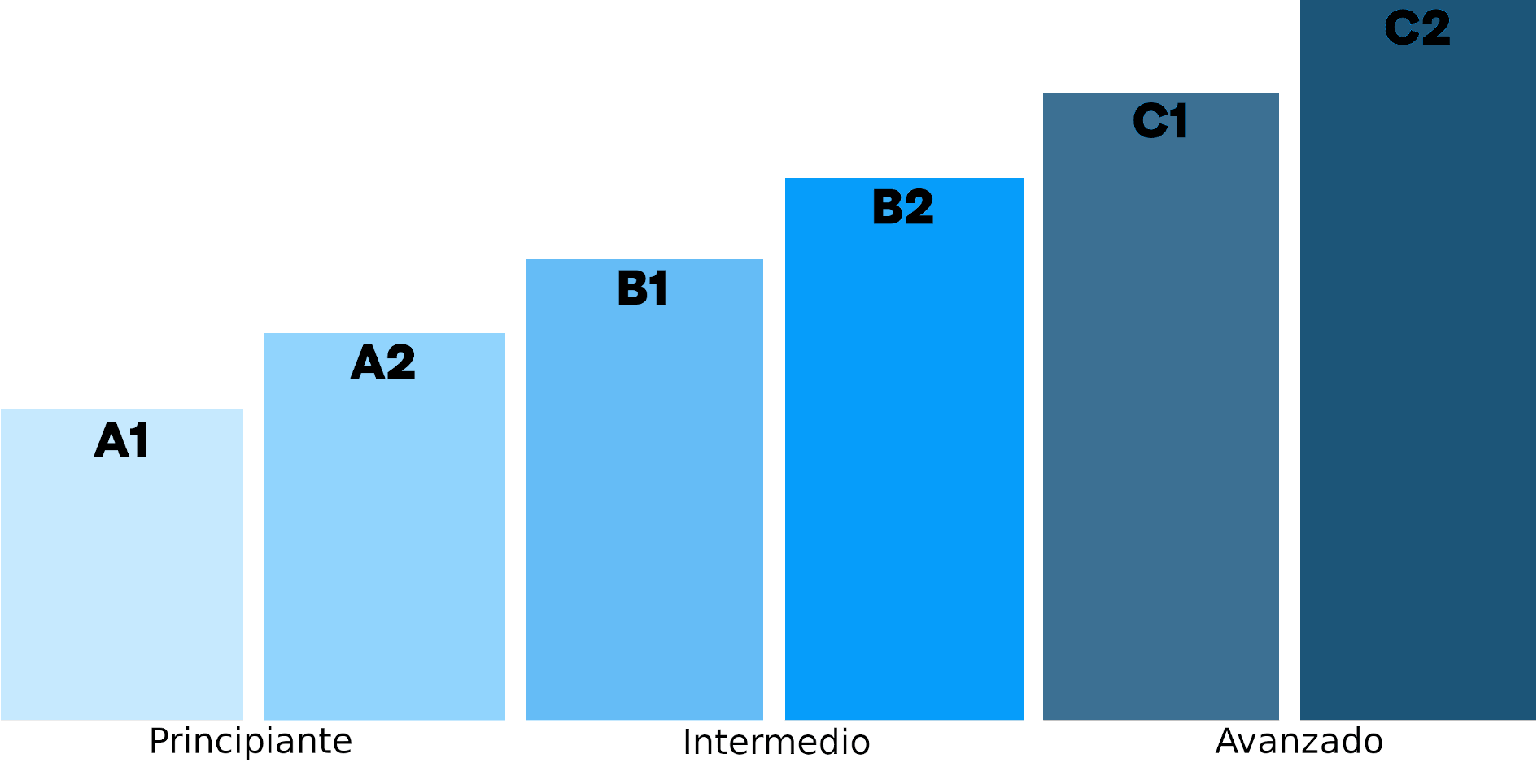 De principiante a avanzado, A1 a C2, los diferentes niveles de clases de francés